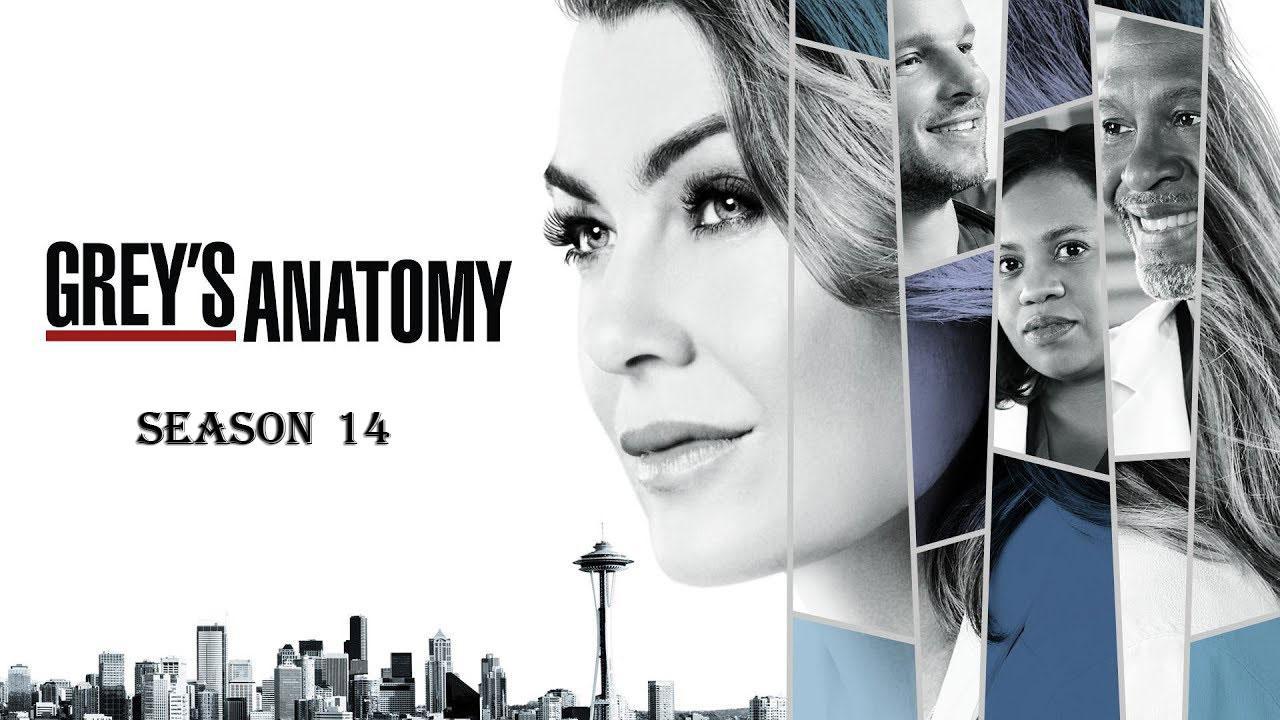 مسلسل Grey's Anatomy الموسم 14 الحلقة 13 الثالثة عشر