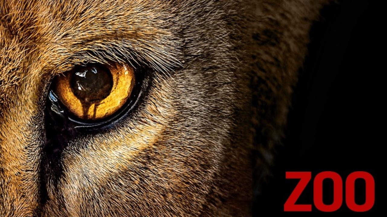 Zoo - حديقة حيوان زوو