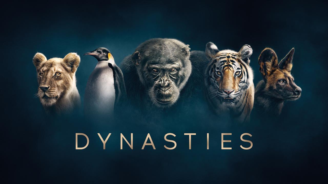 مسلسل Dynasties